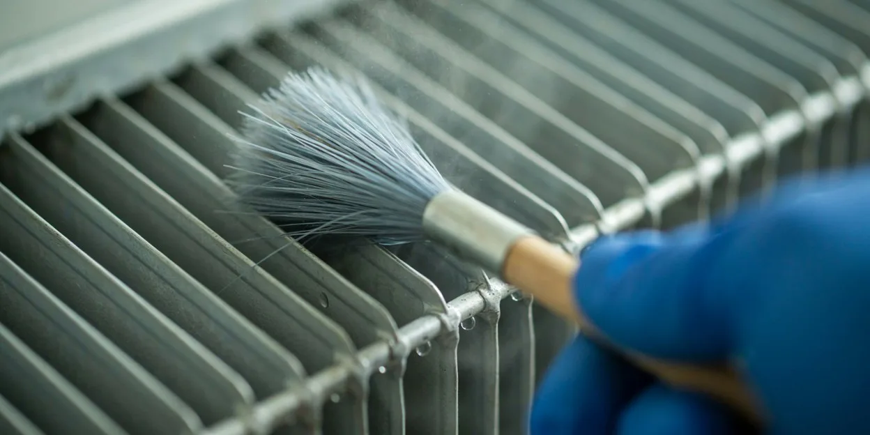 Mold removal in Genoa, NV